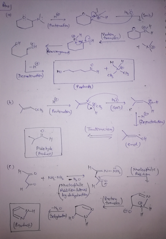 AL C ookie (0) (Protonation) Proton transto & No earrangement) ILH th (Deprotonation) (Products) ct och l Protonation) J (Dep