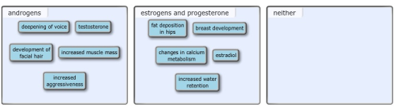androgens estrogens and progesterone neither deepening of voice fat depositionbreast development testosterone in hips develop
