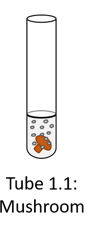 Tube 1.1: Mushroom