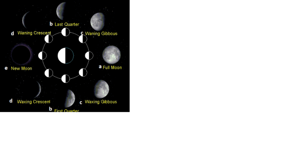 b Last Quarter d Waning Crescent Waning Gibbous e New Moon a Full Moon d Waxing Crescent c Waxing Gibbous First Ouarter