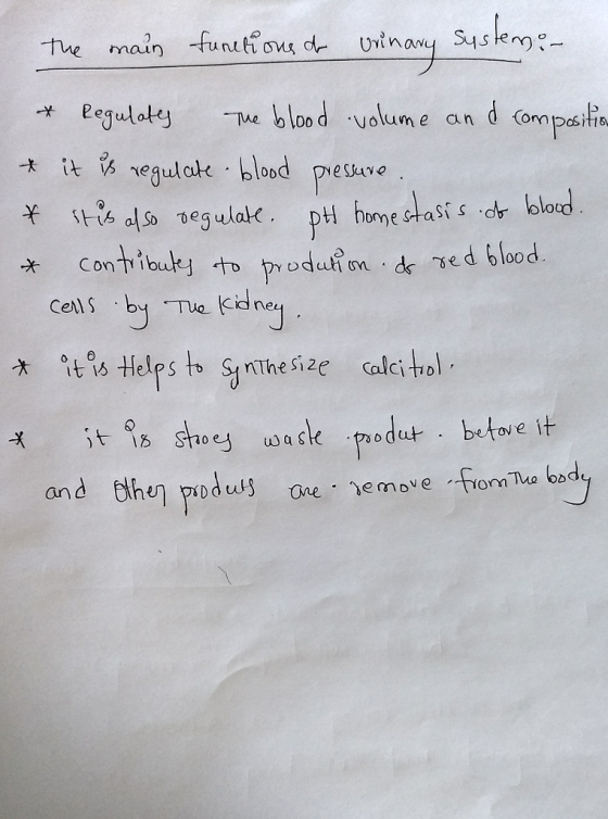 maun egulot Me blood Volume an d o x it neaula blood peskure Cells bTua Kidne