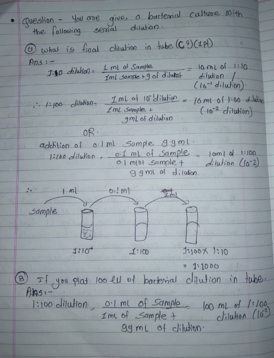 Question - You are give a bacterial culture with the following serial dilution. ( what is final dilution in tube (C?) (1P1) 4