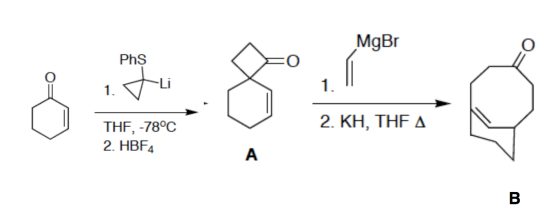 MgBr PhS Li 1 1 2. ΚΗ, ΤΗF Δ THF, -78°C 2. HBF4 A В