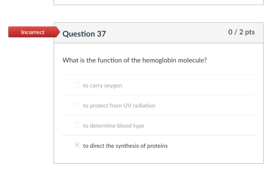 Incorrect Question 37 0/ 2 pts What is the function of the hemoglobin molecule? to carry oxygen to protect from UV radiation to determine blood type to direct the synthesis of proteins