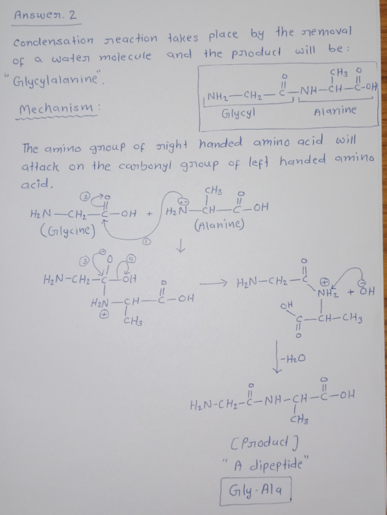 Answen. 2 Condensation Jeaction ㅓakes place by the e moval of a waden mole cule anl the pnodluct ill be Gilycylalanine Mechan