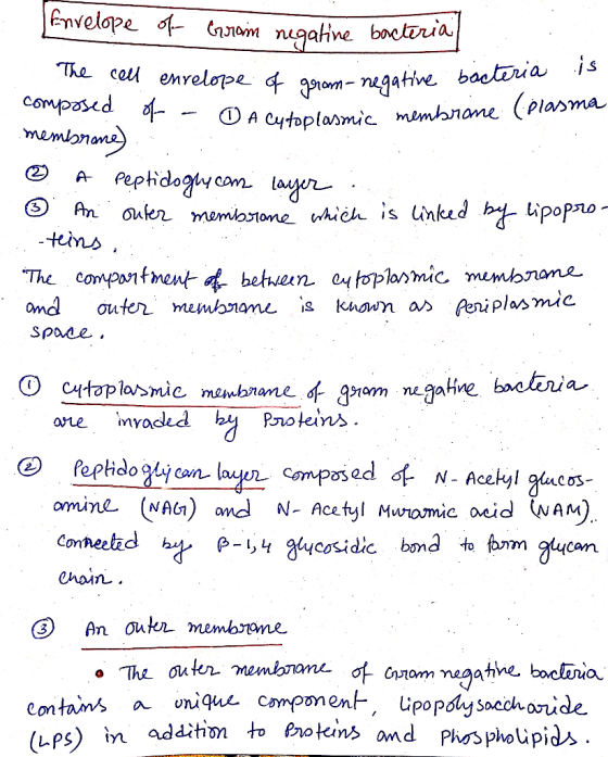 elope of gram-negative bacteria is .. O A Cytoplasmic membrane (plasma Envelope of Gram negatine bacteria The cell envelope o