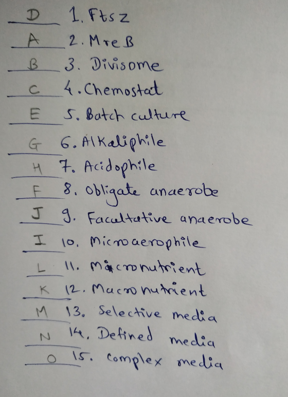 D 1. Ftsz A 2. MreB B 3. Divisome c 4. Chemostat E 5. Batch culture G 6. Alkaliphile H 7. Acidophile F. 8. obligate anaerobe