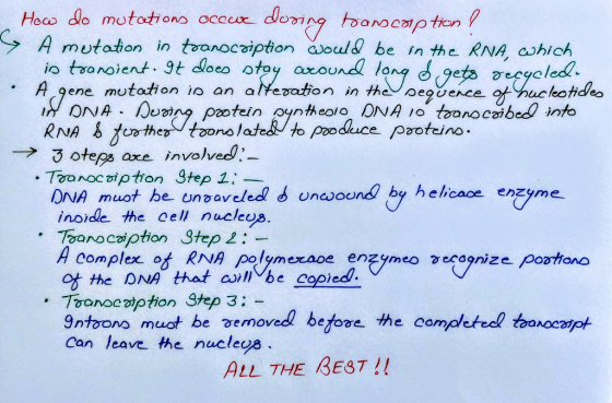 A mutation in tvanocziption aold be in the RNA, chich IO a noie OUCou A gene mutation io an a/tezaton in heeavece of ucleotid