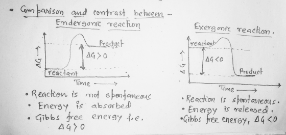 & Comparison and contrast between - Endergonic reaction Exergonie reaction, Treactant at Product |AG>O | AGÃO AG Product Yeac