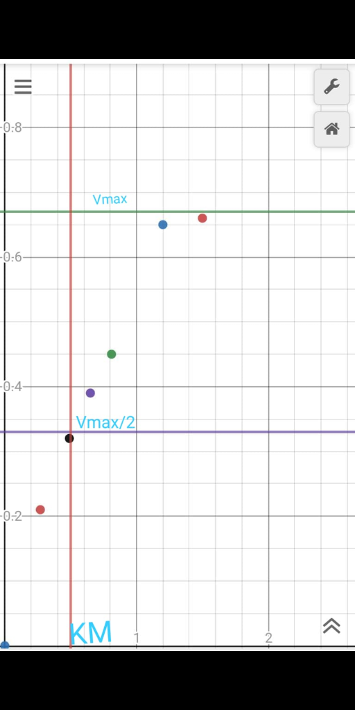 -0:8- Vmax -0:6 0:4 Vmax/2 0-2 KM