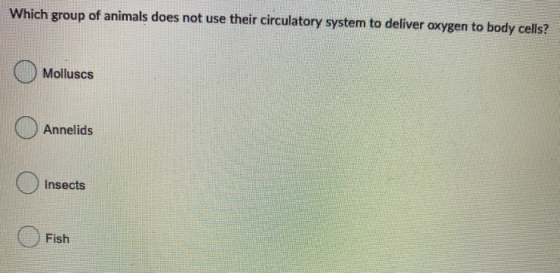Which group of animals does not use their circulatory system to deliver oxygen to body cells? Molluscs Annelids Insects Fish