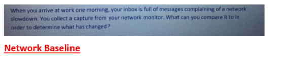 When you arrive at work one morning, your inbox is full of messages complaining of a network slowdown. You collect a capture