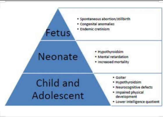 • Spontaneous abortion/stillbirth . Congenital anomalies • Endemic cretinism Fetus Neonate • Hypothyroidsim • Mental retardat
