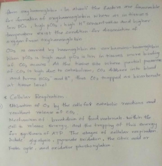 form cay haemoglobin In alveoli the factors are favourable for formation of oxy haemoglobin where as in tissues tow PO₂, high