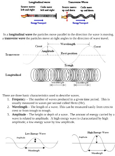 Longitudinal wave Transverse Wave Sourre mones Cails move left and right SeuIre mотеs up and doun Ceils moe ф авd dew left an