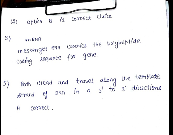 Obtión Bis is correct choice 3) mRNA messenger RNA carries the polypeptide Coding sequence for gene. 5) Both head and travel