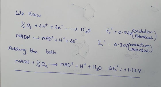 We know 20₂ +243 +2e H₂O Eo=0.821 oxidation ) NADH NADT +H+ 2 ě to = 0.32v (reduction) ( potential) Adding the both NADH + %0