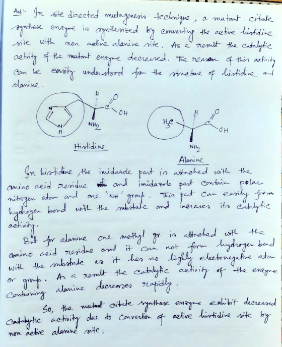 Ans: In site directed mutagenesio technique, a mutant citrate synthase enzyme ire synthesized by converting the active histid