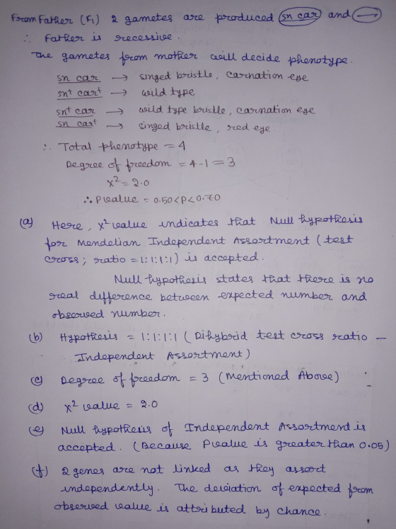 from Father (F) a gametes are produced (sn car) and : father is recessive. the gametes from mother will decide phenotype sn c