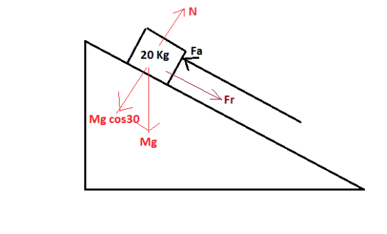 プN 20 Kg Fa Fr Mg cos30 Mg