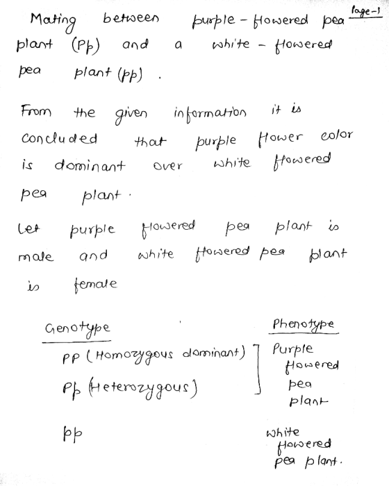 tot-1 pea aye- Mating betoeen plat (P) and a whte - Hoered pea plant (pp) bu巾le-blowered From the given informaoit L conclu d