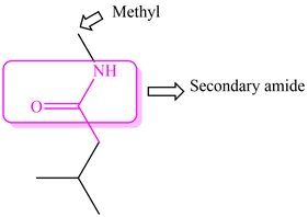 Methyl
NH
Secondary amide