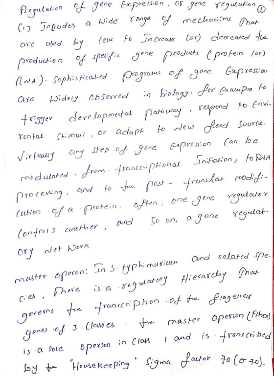Regulation of gene expression, or gene regulation Co Includes a wide range of mechanisms that are used by cells to Increase C