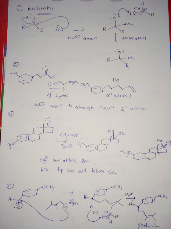 mechanny Nu R Nu R NUO protonato eddM -- NU R R Ho omge 20 alcahel HgetD addn to aldehy paodu alcchel Ct3 CH mser CH CHe Gn a