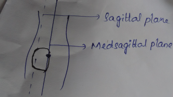 lagital plane Medsagiol plane