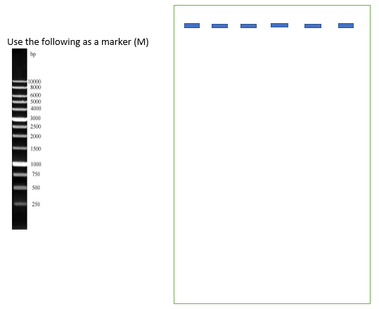 Use the following as a marker (M) 10000
