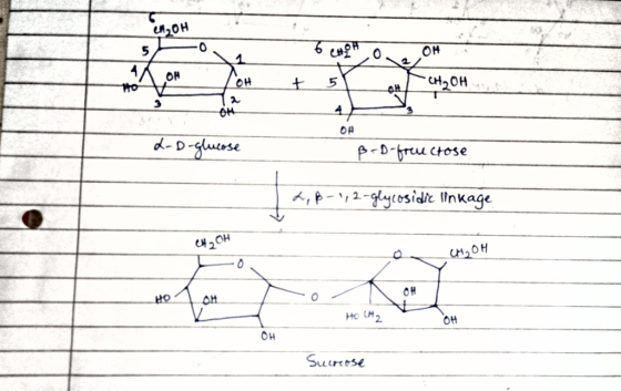 IROH JOH + 5 H20H L-D-glucose B-D-fructose 2,8-1, 2-glycosidic linkage ан, он CH₂OH HO CH2 OH Sucrose