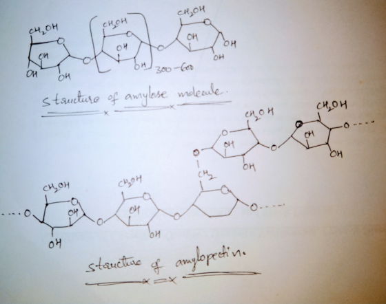 CH,OH 내애 он -01 on OHT300-60 OH structure of any lose molecule. CH, OH CHOH Oºn ON CHOH Oy structure of amplopectina ےے