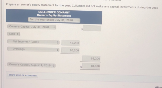 Prepare an owners equity statement for the year. Cullumber did not make any capital investments during the year. CULLUMBER C