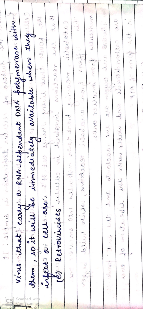 polymerase with.. - DNA Camscanner Scanhed with Ninus that carry a RNA-dependent DNA polymerase them, so it will be immediate