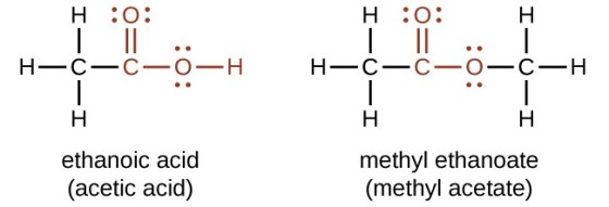 H :0: H:0: н H-C-0-0-0-H H-C-0-0-H I-U-I H ethanoic acid (acetic acid) methyl ethanoate (methyl acetate)