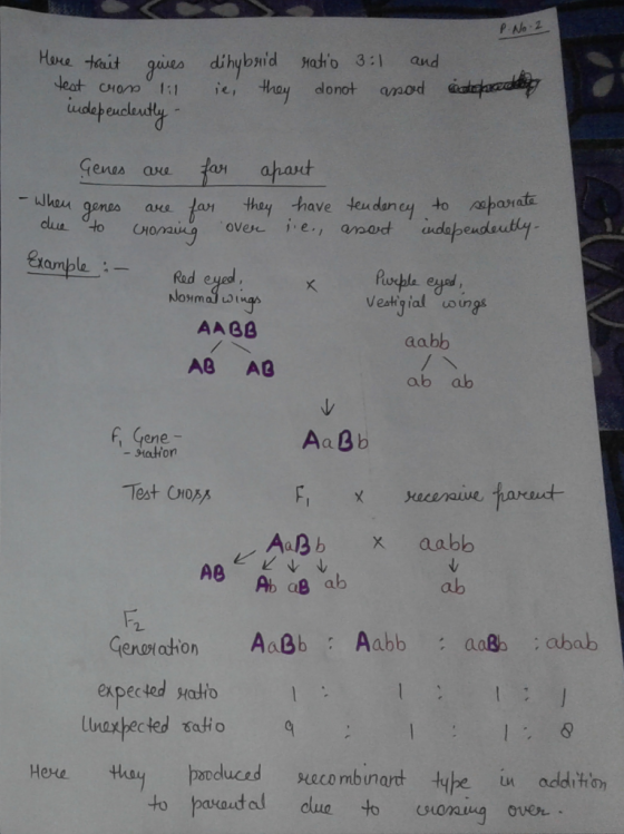 P. No. 2 Here truit gives test crom lil independently dhybrid ie, they ratio 3:1 and donot anod caterhady Genes are far apar