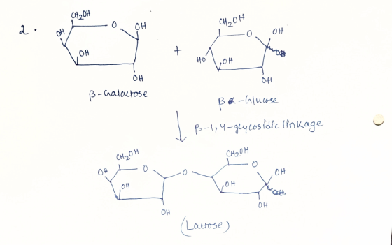 4 он — О. ОН Сң,ОН а: н/ а он + LOH № \ ,он 애 ОН B-Galactose Bo-Glucose 1 B-1,4-glycosidic linkage СА, ОН СОН о» — о. \ Он ү0