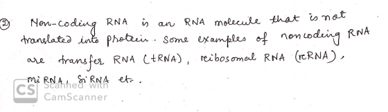 9 Non-coding RNA is an RNA molecule that is not translated into protein some examples of noncoding RNA are transfer RNA CERNA