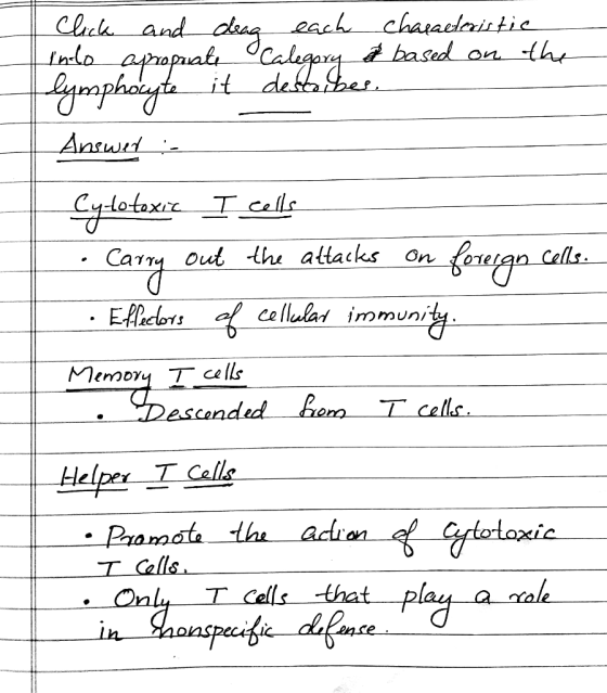Click and drag each characteristic indo apropriate Calegory & based on the lymphocyte it describes. Answer : Cytotoxic I cell