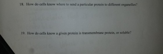 18. How do cels know where to send a parti orgmnells? 19. How do cells know a given protein is transmembrane protein, or soluble?