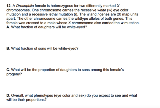 12. A Drosophila female is heterozygous for two differently marked X chromosomes. One chromosome carries the recessive white (w eye color mutation and a recessive lethal mutation The w and genes are 20 map units apart. The other chromosome carries the wildtype alleles of both genes. This female was crossed to a male whose Xchromosome also carried the w mutation. A. What fraction of daughters will be white-eyed? B. What fraction of sons will be white-eyed? C. What will be the proportion of daughters to sons among this females progeny? D. Overall, what phenotypes (eye color and sex) do you expect to see and what will be their proportions?