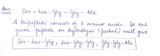 Aus ser-heu-gly - Gly- Ala A tripeptide consists of 3 amino acids. So the given peptide on hydrolysis (partial) will give I s