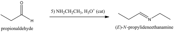 5) NH2CH2CH3, H3O+ (cat)
H
propionaldehyde
(E)-N-propylideneethanamine