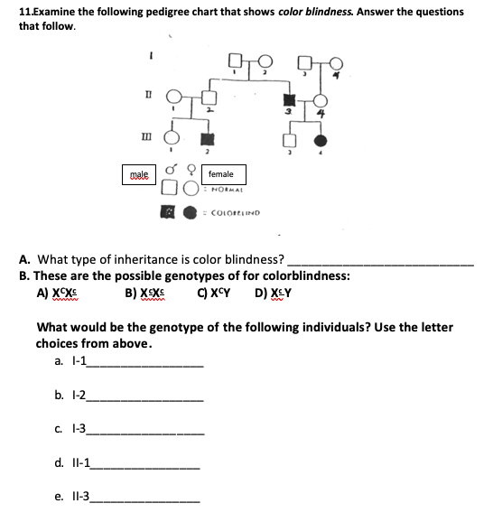 11.Examine the following pedigree chart that shows color blindness. Answer the questions that follow TO male female : NORMAL