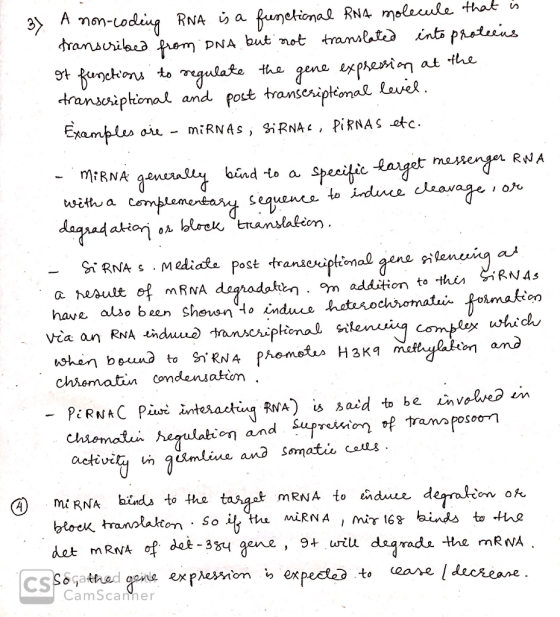 37 A non-coding RNA is a functional RNA molecule that is transcribed from DNA but not translated into proteens of functions t