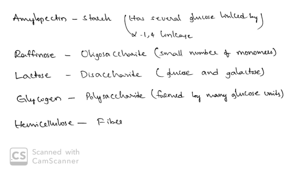 s taleh Amylopectin Has several glucwse linlcedd by W-1,4 linlcaye Oligosa cehonite (small numbee of monomees) Raffinose C gu
