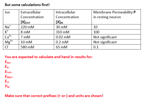 But some calculations first! Intracellular Concentration [XliN 30 mM 310 mM 0.02 mM 0.2 mM 65 mM Membrane Permeability P in resting neuron Extracellular Concentration [XlouT 220 mM 8 mM 7 mM lon 10 100 Not significant Not significant 0.1 2+ Ca 2+--110 mM CI 580 mM You are expected to calculate and hand in results for: EN Ca2+ EM g2+ CI- Make sure that correct prefixes (+ or-) and units are shown!