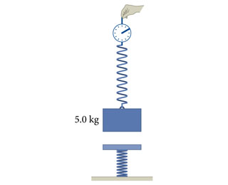 Image for A 5.0-kg block suspended from a spring scale is slowly lowered onto a vertical spring (Figure 1) . Part A Wh