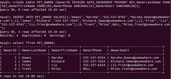 mysql> create table PET_OWNER (OwnerID INTEGER AUTO_INCREMENT PRIMARY KEY, OwnerLastName CHAR (10), OwnerFirstName CHAR(10),