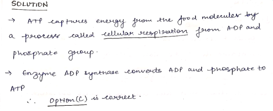 SOLUTION - . Ar captures energy from the food molecules by a process called cellular respiration from ADP and phosphate group